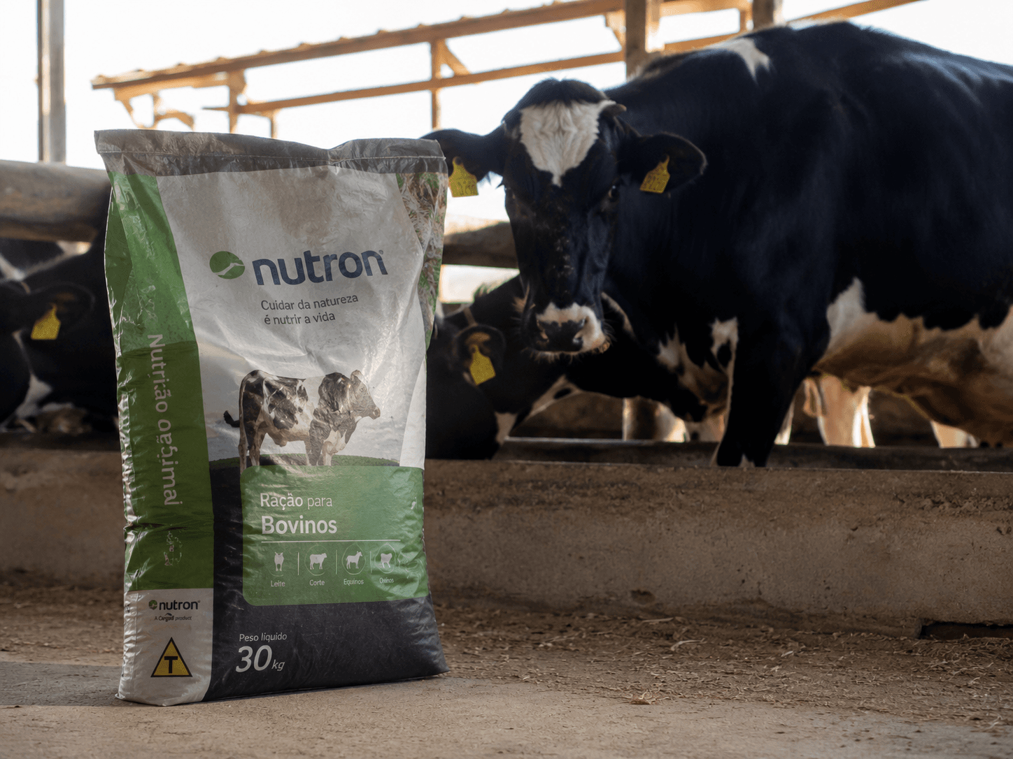 Rações e Nutrição Animal