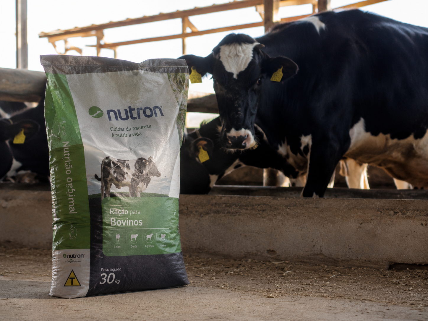 Rações e Nutrição Animal